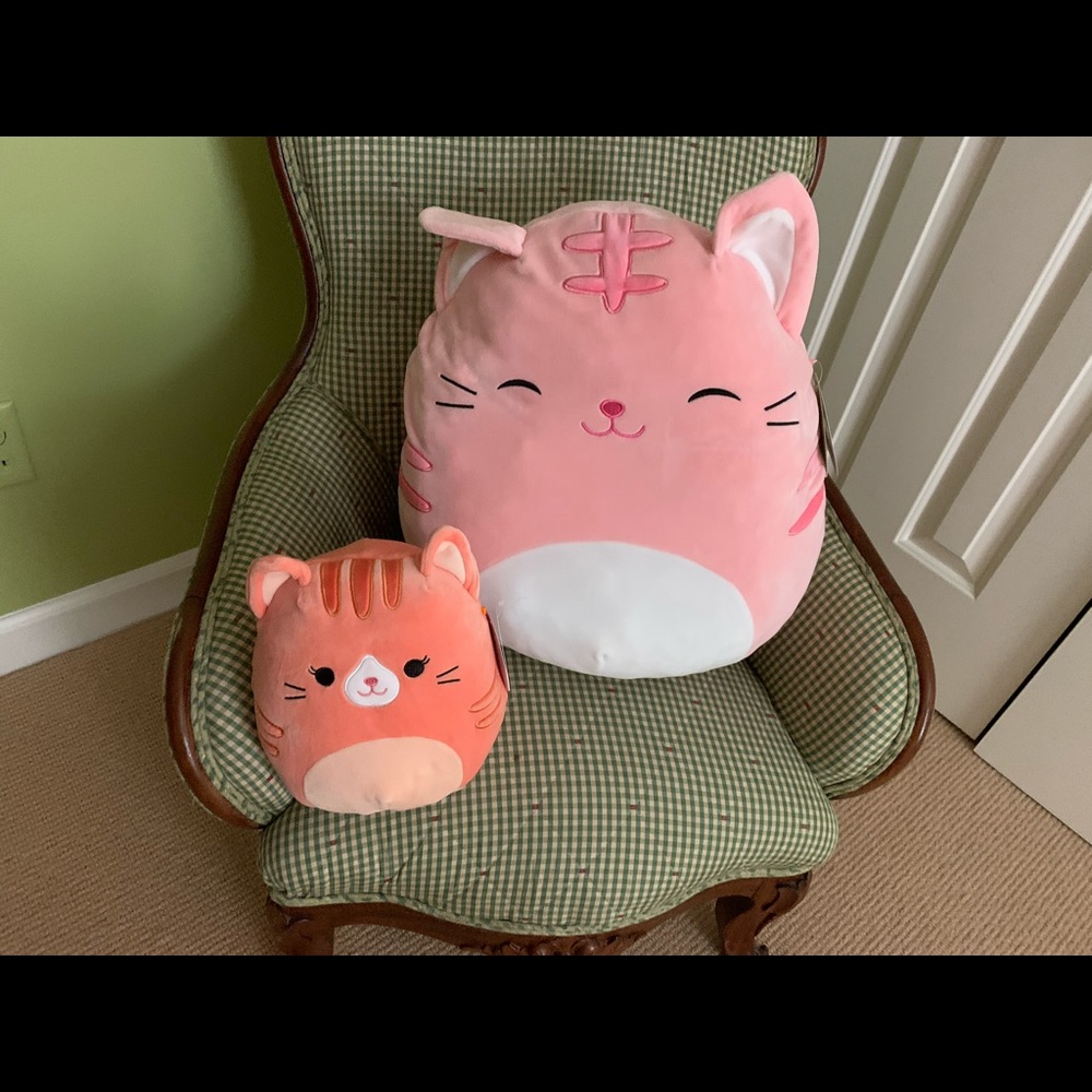 Cat squishmallow bundle